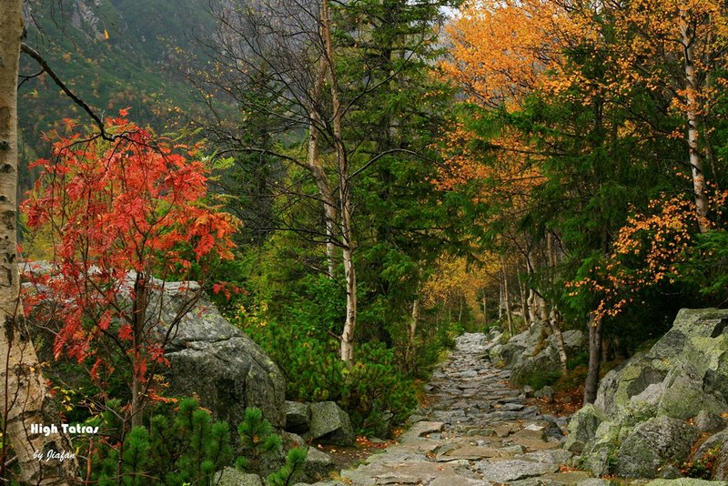 上塔特拉山