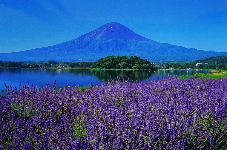 富士河口湖